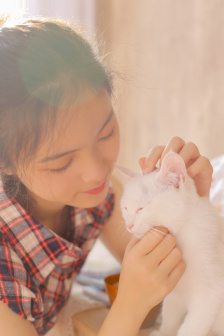 排球少年四季在线观看免费